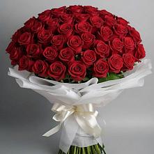 Букет 101 Красная роза Блэк Мэджик в Сонино