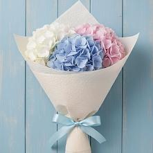 Букет цветов из:  Гортензия в Сонино