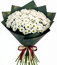 Букет цветов из:  Хризантемы в Сонино