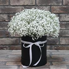 Цветочная композиция из Гипсофила в шляпной коробке в Сонино